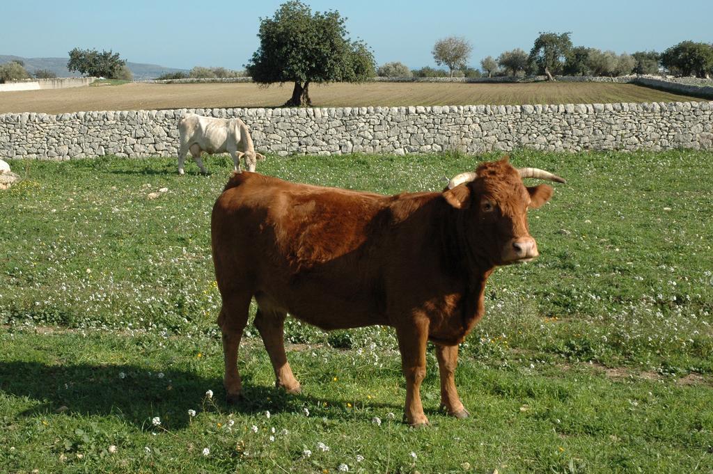 Agriturismo Il Melograno Cannizzara Экстерьер фото